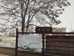 -桃花堤公园