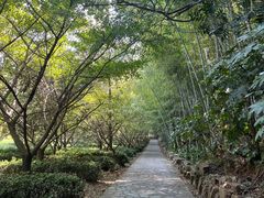 -九龙潭景区