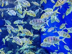 -成都浩海立方海洋公园