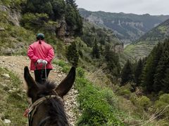 -芦芽山旅游度假区