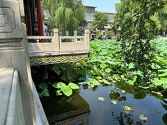 -莲池书院博物馆