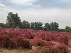 -汉长安城未央宫国家考古遗址公园