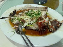 -悉尼歌剧院
