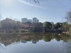 -月湖风景区