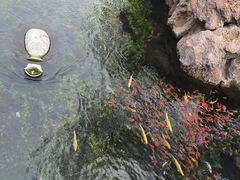 -水磨沟公园