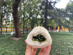 -西园寺