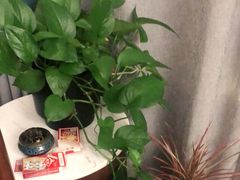 招牌浓汤花胶老母鸡-宴昆山·私房菜(春晖店)