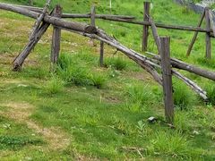 -白鹭湾湿地公园