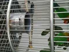 android_upload_pic-厦门悦华酒店