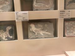 -敦煌市博物馆