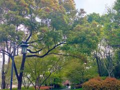 -杭州城北体育公园