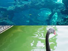 -长鹿旅游休博园