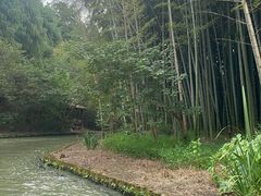 -同里国家湿地公园