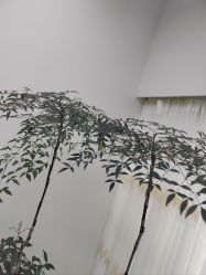 -HEYAN荷妍专业脱毛连锁机构