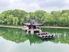 -鲁镇
