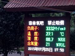 -合肥滨湖国家森林公园