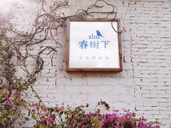 -春树下·树屋花房西餐厅(罍街AS1980店)