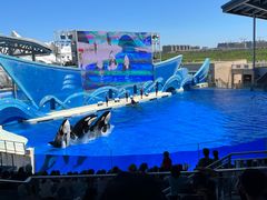 -上海海昌海洋公园