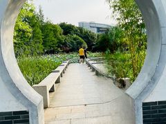 -金银湖国家城市湿地公园