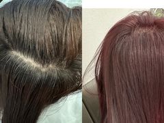 -友谊阳光城