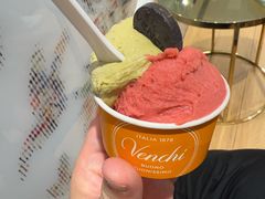 茉莉花覆盆子-VENCHI 闻绮(北京汉光店)