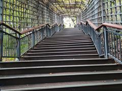 -金鸡山公园