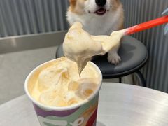 -DQ·蛋糕·冰淇淋(五角场万达店)