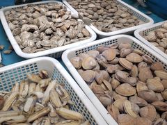 -鲜鲜·鲅鱼圈海鲜(于洪店)