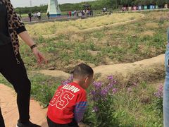 -武汉紫薇都市田园