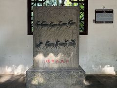 -上海醉白池公园