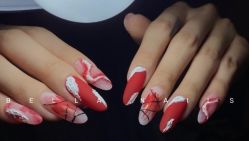 -BELLAREAL新美社