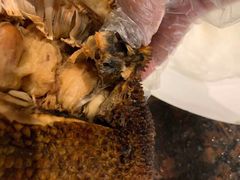 -鸿港海鲜批发市场