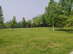 -北坞公园