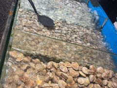 -钱小奴创意自助餐厅·原切谷饲安格斯畅吃(宁波奉化银泰店)