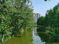 -洋湖国家湿地公园