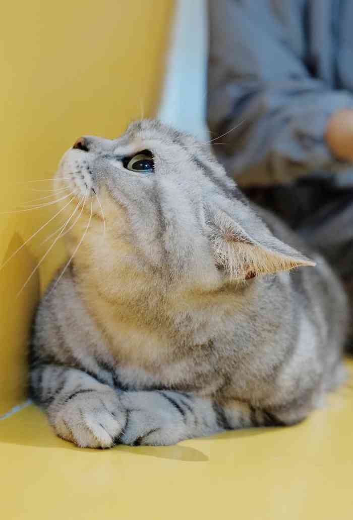 "-大众点评移动版