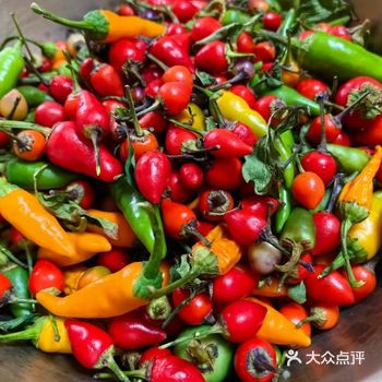 ##0元玩转这座城  喜欢吃辣，每年都要在阳台护栏内