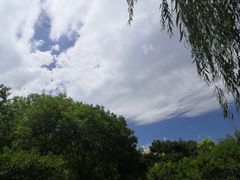 -莲花池公园