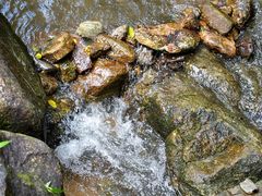 -红旗山庄(圭峰山店)