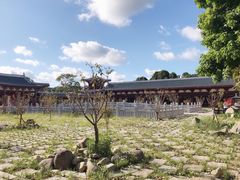 -莆田南少林寺