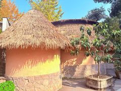 -天怡·鱼工厂(梅溪湖店)