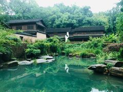 -杭州植物园