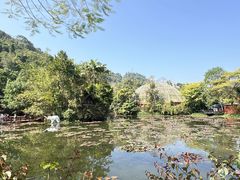 -野象谷景区