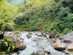 -西岭雪山大飞水景区