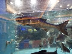 -榕记(番禺总店)