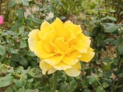 -湘西小馆(滨河路店)