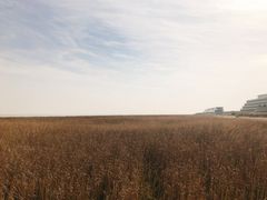 -南汇嘴观海公园