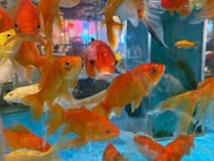 -辣得叫湘菜(四明店)