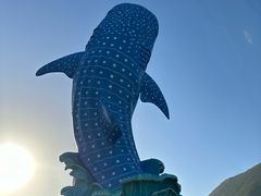 -珠海长隆海洋王国