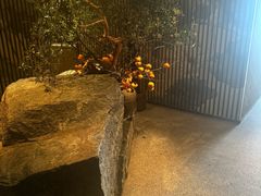 -新荣记(建国门外大街店)